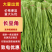 长豆角，新鲜现摘当季现货，基地直发品质保证，量大从优！