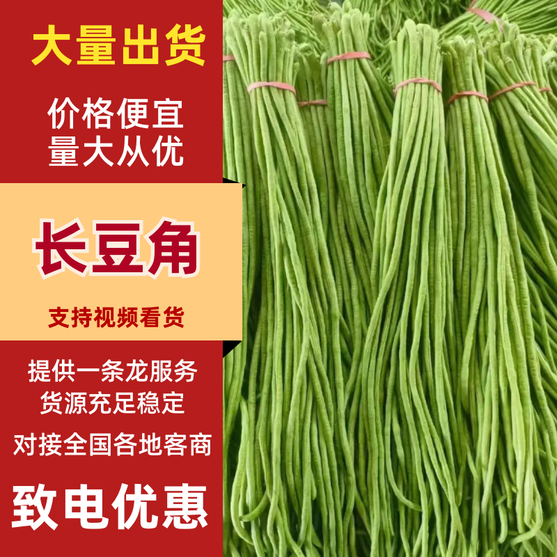 长豆角，新鲜现摘当季现货，基地直发品质保证，量大从优！