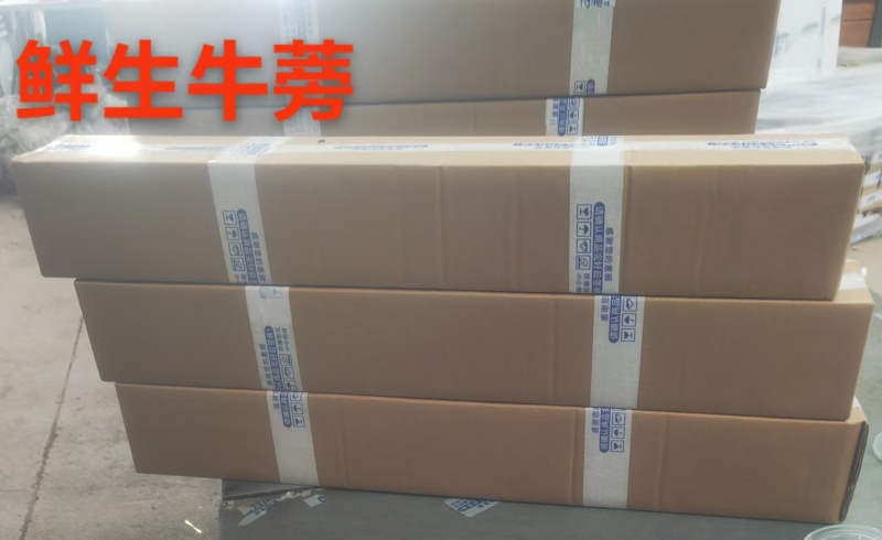 【精选牛蒡】山东基地直发质量保证资质齐全欢迎订购包邮