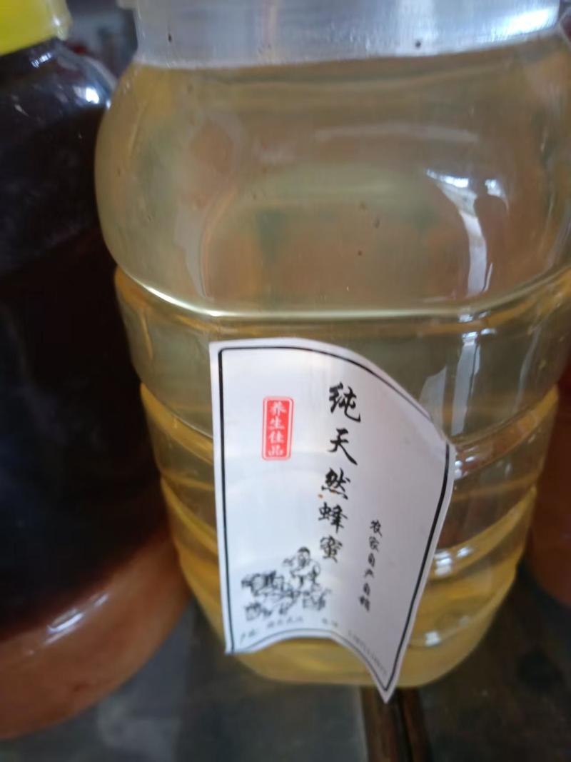蜂蜜一手货源保质保量供货批发零售各种品种