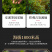 安溪铁观音茶叶新茶兰花香礼盒装清香型乌龙茶500g