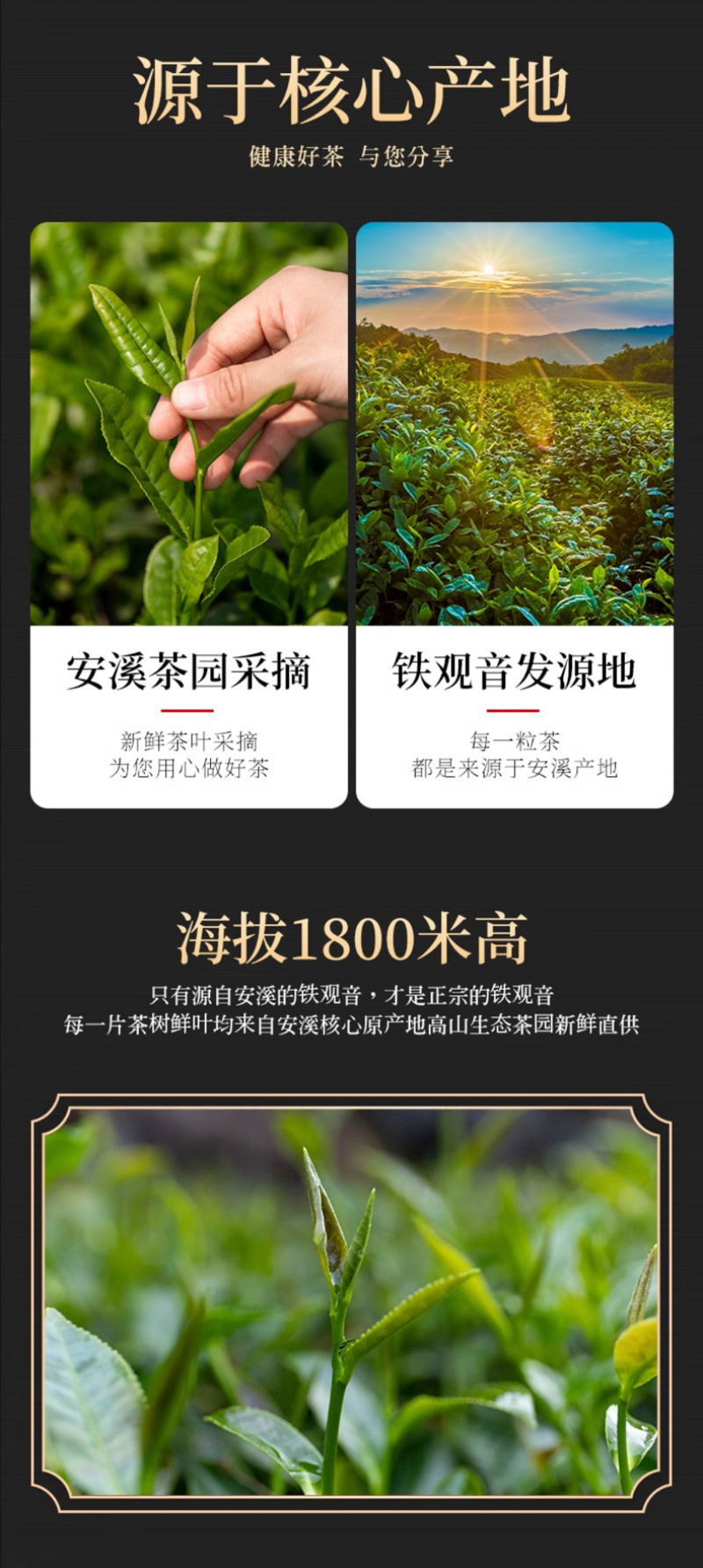 安溪铁观音茶叶新茶兰花香礼盒装清香型乌龙茶500g