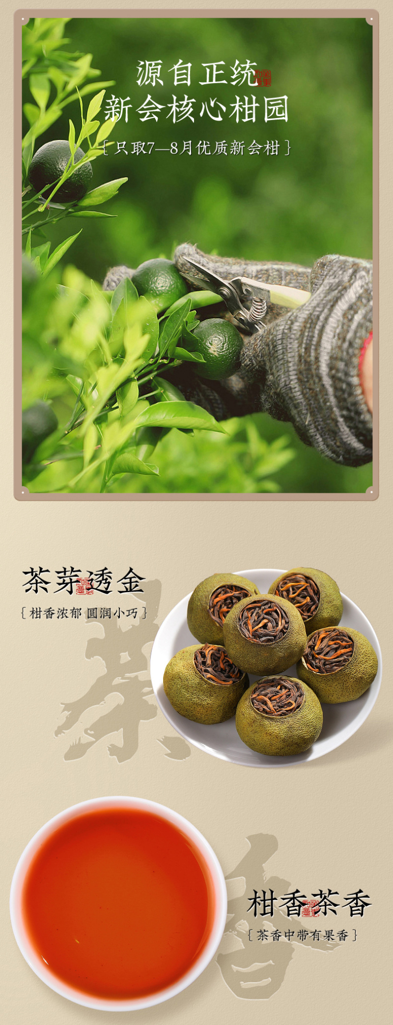 小青柑大份量500g礼盒装十年陈宫廷陈皮普洱茶新会柑普茶