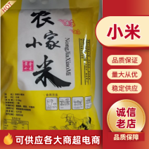 山西精品黄小米2025新小米价格实惠回头客多免费包邮到家