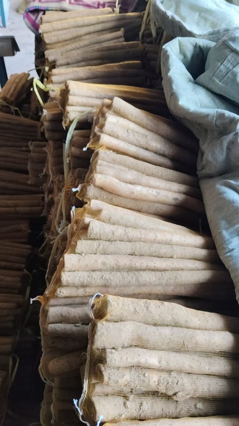 山药麻山药大小规格都有现挖现发产地直供欢迎咨询