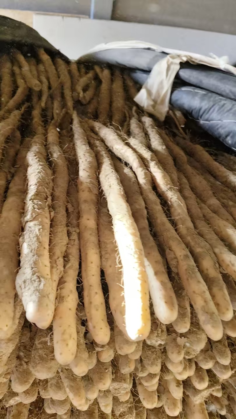 山药麻山药大小规格都有现挖现发产地直供欢迎咨询