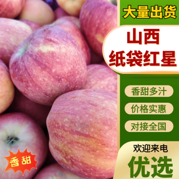 光果红星苹果，口感甜脆，产地直供。价格商议