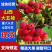 大五棱山楂，酸甜可口，味道鲜美，产地直供。