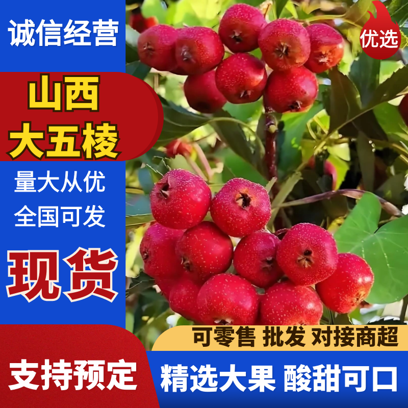 大五棱山楂，酸甜可口，味道鲜美，产地直供。