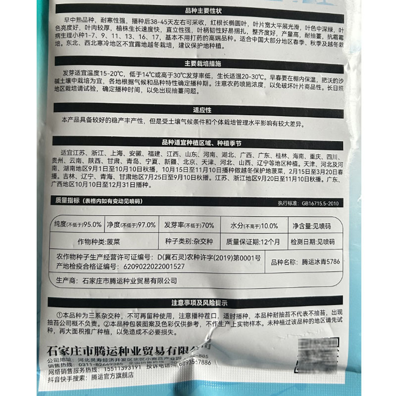 腾运冰青5786早中熟菠菜种子耐寒红根长圆叶叶深绿高产