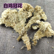 白鸡冠花白鸡冠花