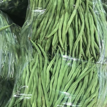 四季豆无筋豆，一手货源，全国发货，诚信经营，可视频看货