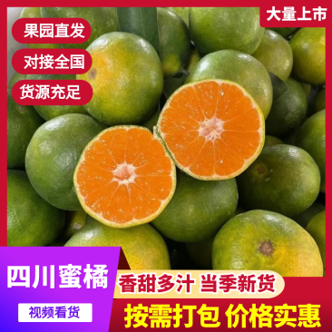 蜜橘四川蜜桔基地直供，口感好品质高价格低，对接电商市场
