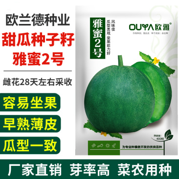 欧兰德绿宝石甜瓜种子早熟高产薄皮正宗春季四季香瓜瓜籽种子