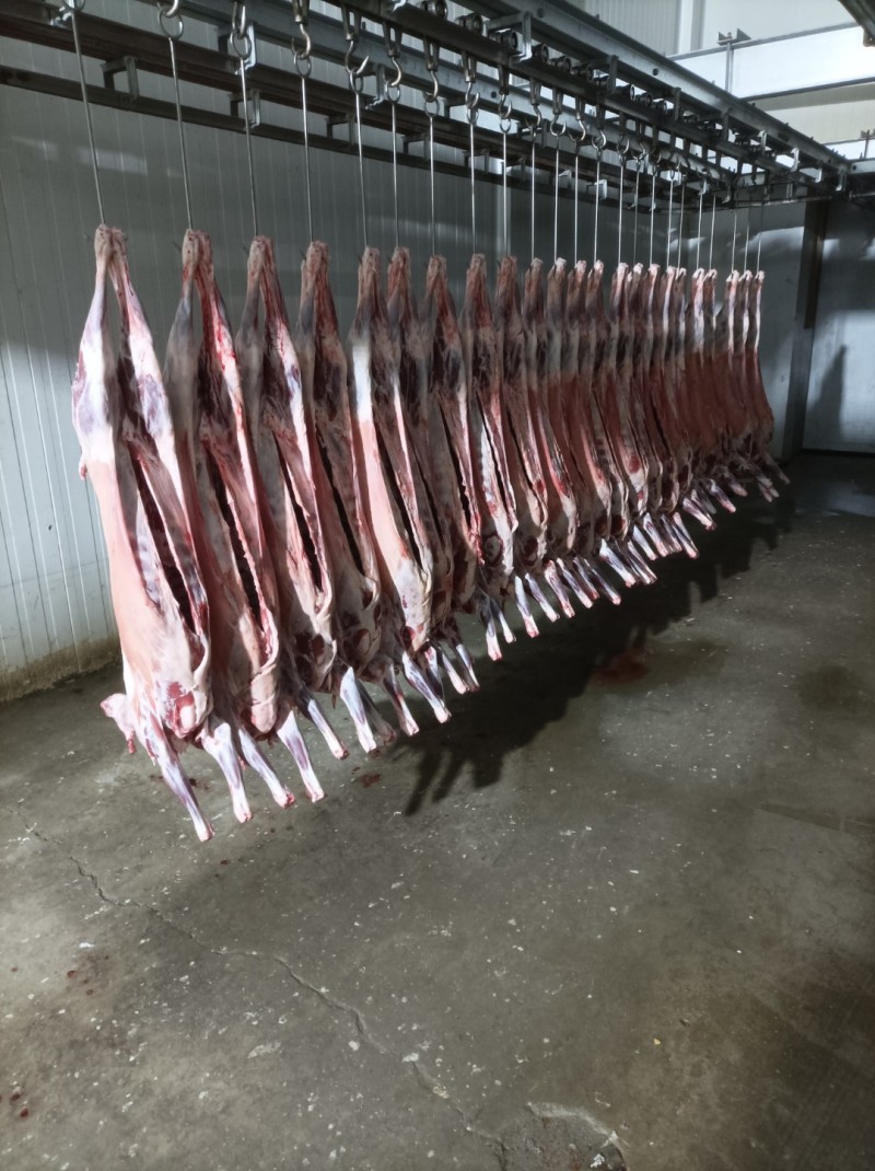 坝上草原精品羔羊元宝肉，肉质鲜美，保质保量欢迎选购