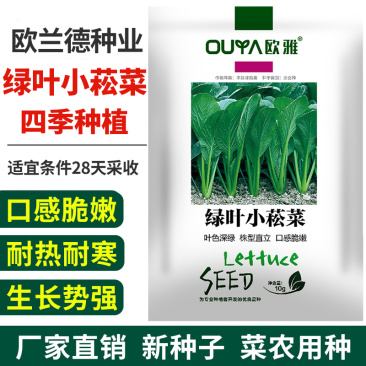 耐热小松菜种子小菘菜甜脆速生高产青梗菜小白菜阳台蔬菜种子