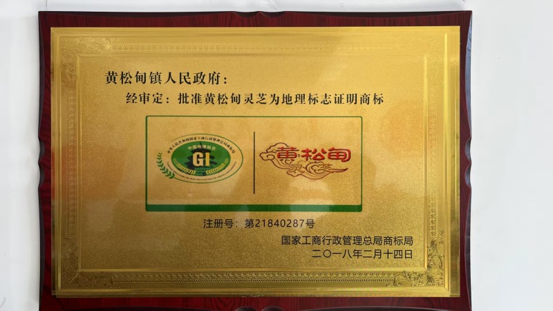 张庆康灵芝孢子粉大量货源产地直发/品质保证量大从优