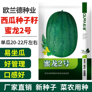 西瓜种子龙卷风懒汉瓜墨绿花皮西瓜种子高产抗病耐旱西瓜种籽