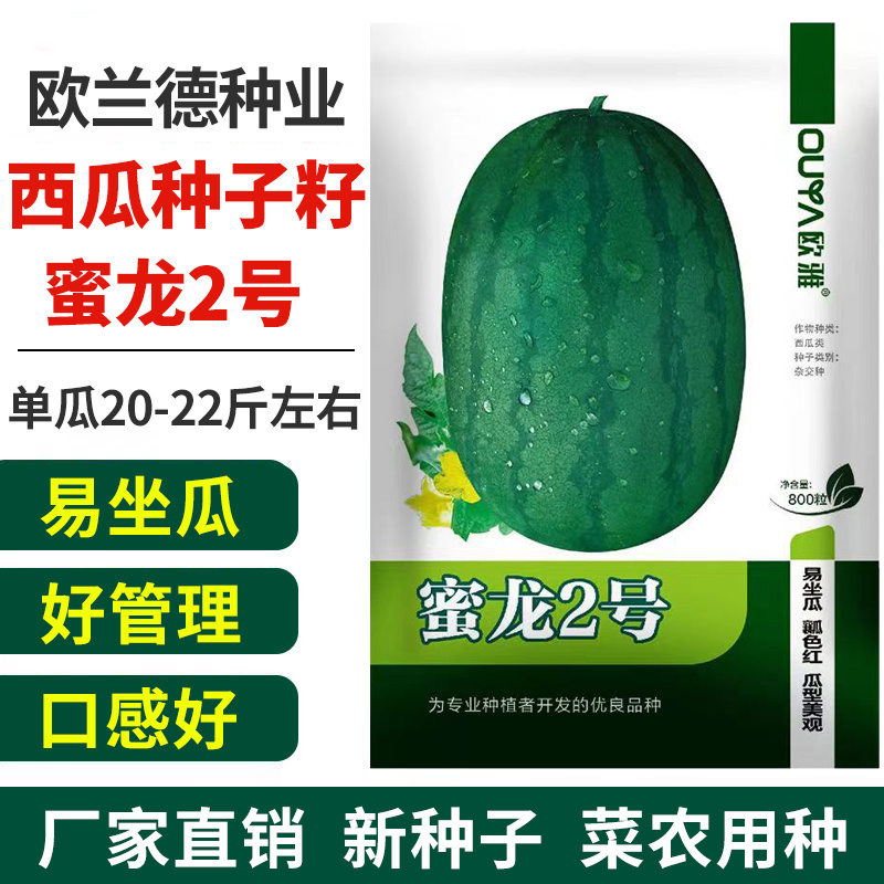 西瓜种子龙卷风懒汉瓜墨绿花皮西瓜种子高产抗病耐旱西瓜种籽