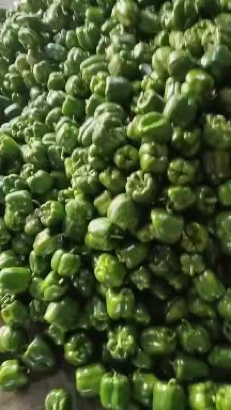 圆椒，当季现货，新鲜现摘，产地直发品质保证，量大从优！