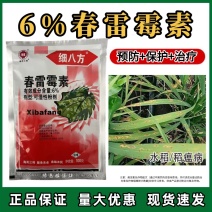 6%春雷霉素杀菌剂稻瘟病流胶病穿孔病软腐病角斑病柑橘蔬菜