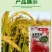 6%春雷霉素杀菌剂稻瘟病流胶病穿孔病软腐病角斑病柑橘蔬菜