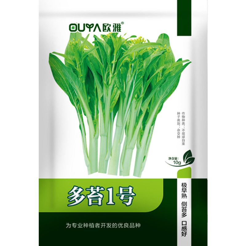 早熟白菜苔种籽白菜心种子香甜早白菜苔菜种阳台庭院四季种植