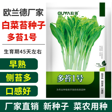 早熟白菜苔种籽白菜心种子香甜早白菜苔菜种阳台庭院四季种植