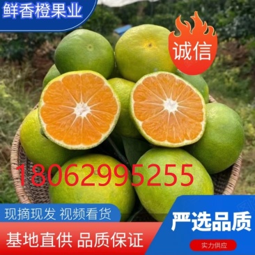 特早蜜橘正在火热销售中，皮薄肉嫩口感，货源充足质