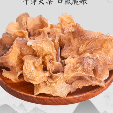 羊肚耳干货云南特产沙耳竹耳新鲜菌菇灵芝菌羊耳菌菌子