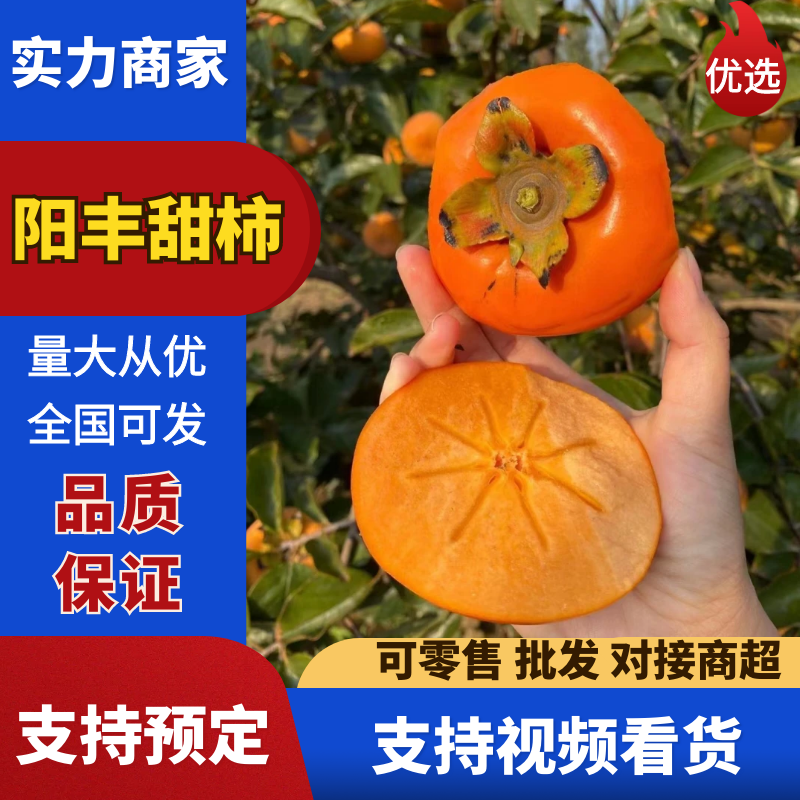 阳丰甜柿脆甜柿子耐运输对接电商以及市场来电优惠