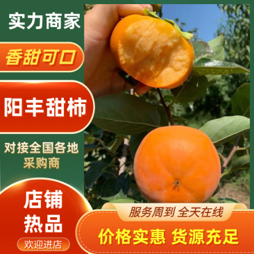 甜柿陕西渭南柿子产地直发货源充足保质保量对接全国