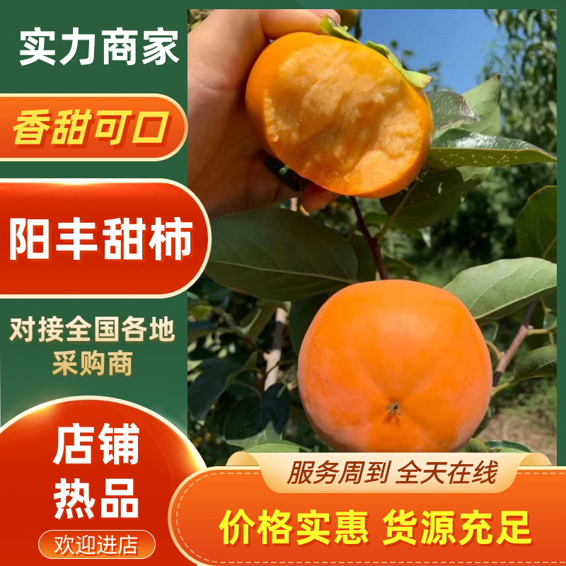 甜柿陕西渭南柿子产地直发货源充足保质保量对接全国
