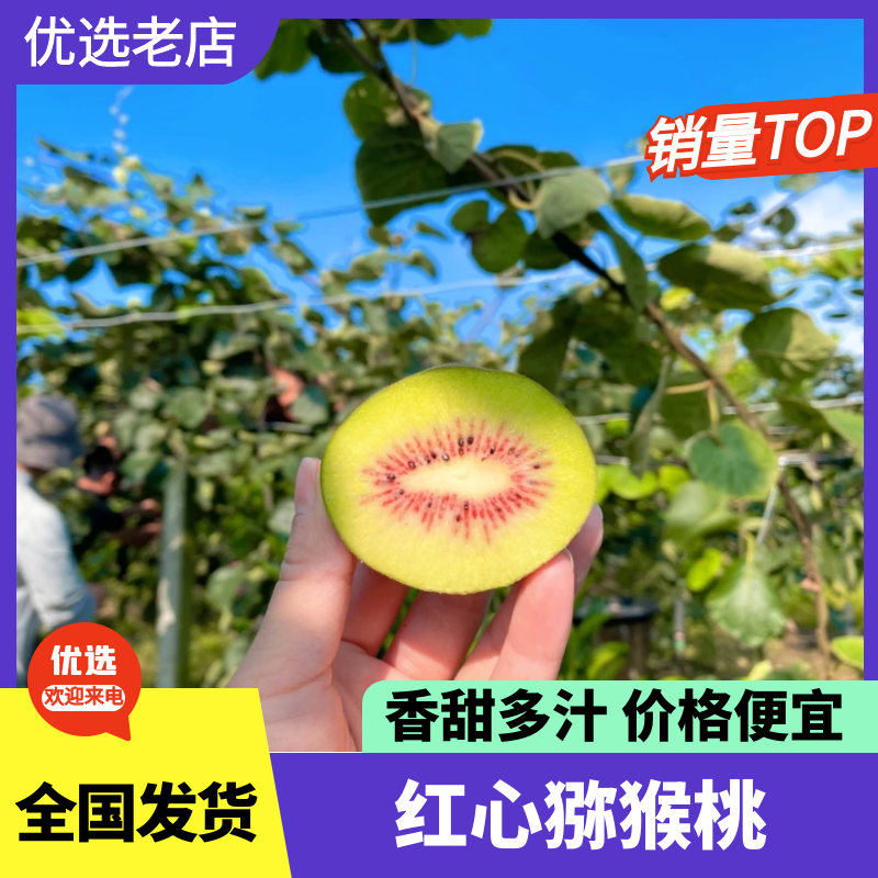 东红红心猕猴桃小果50-70克产地发货量大从优欢迎咨询
