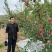 静宁红富士苹果大量供货现摘现发品质保证价格优惠
