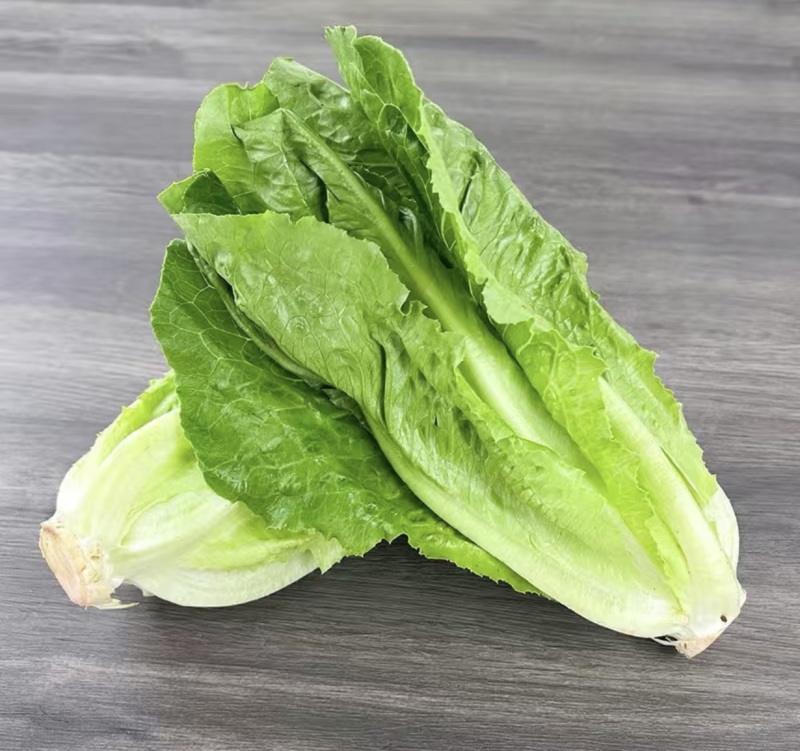 散叶生菜，当季现货新鲜采摘，产地直发品质保证，欢迎来采购