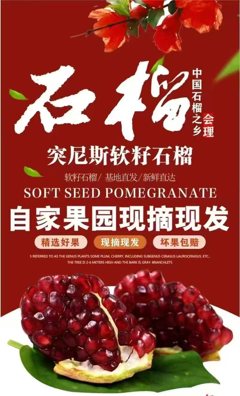 石榴会理石榴四川产区直发保质保量供货批发零售