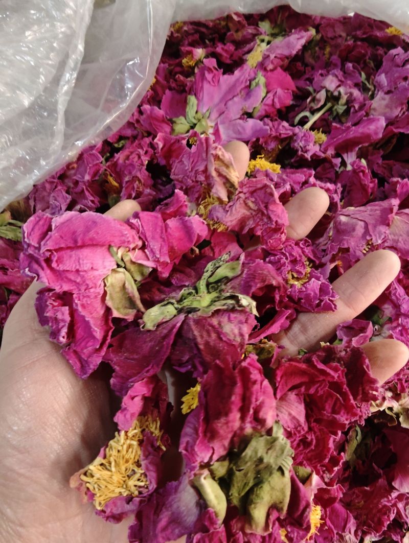 芍药花茶新货中药材白芍朵茶芍药花芍药花干勺花花无硫