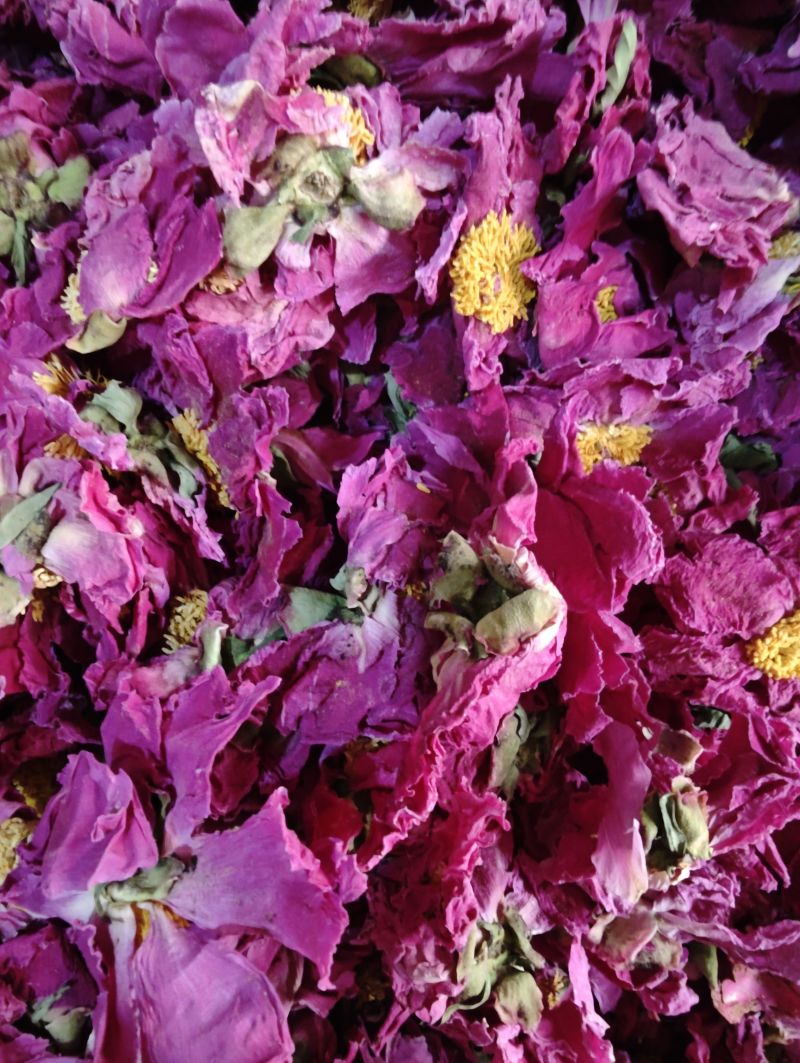 芍药花茶新货中药材白芍朵茶芍药花芍药花干勺花花无硫