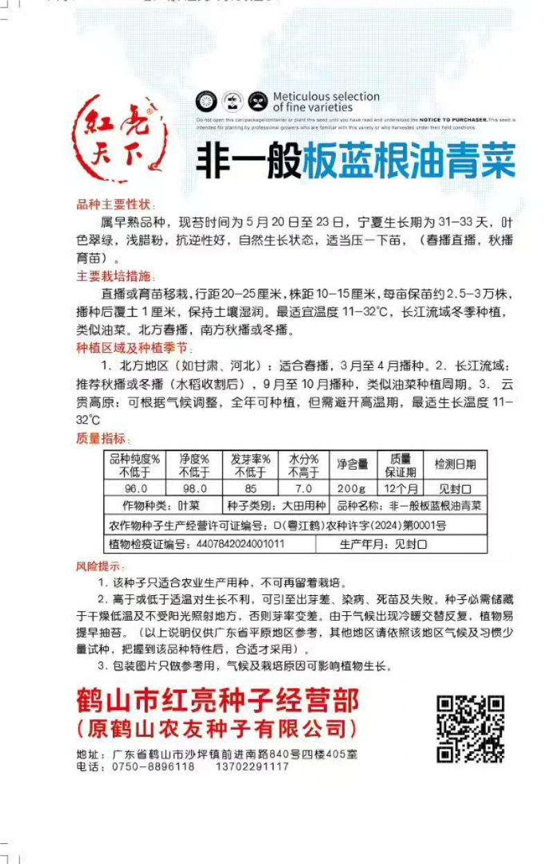 非一般板蓝根油青菜种子