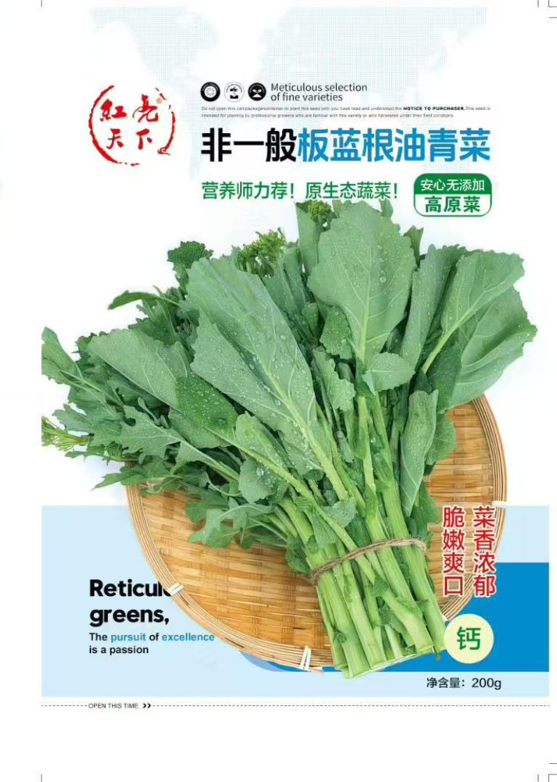 非一般板蓝根油青菜种子
