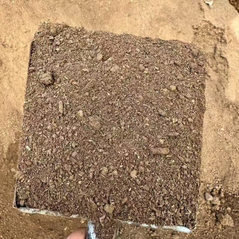 羊粪粉末状态大量供货看货定价运费自理欢迎联系