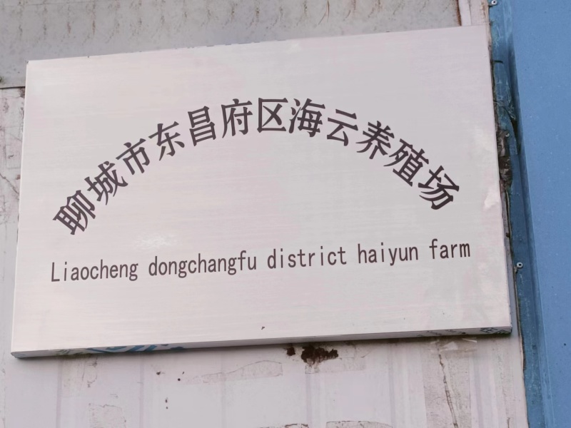 海云养殖场黄粉虫大量现货供应欢迎来电咨询