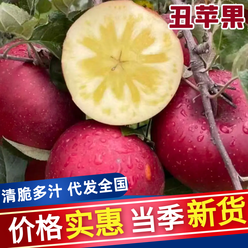 昭通丑苹果2001大量上市，大量现货速发，欢迎选购