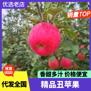 昭通糖心丑苹果大量上市，希要的联系