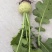 【热卖中】山西芥菜头带芥菜茵市场货海量货源对接全国