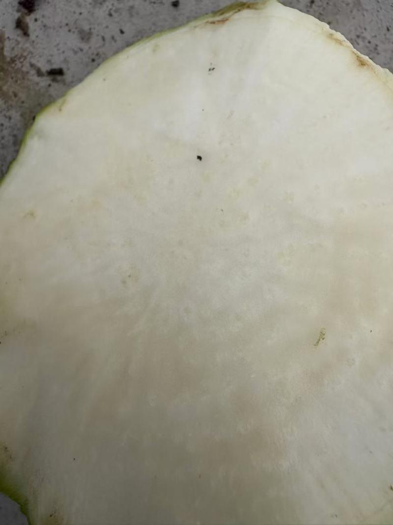 【热卖中】山西芥菜头带芥菜茵市场货海量货源对接全国