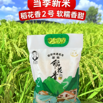 稻花香大米新米量大质优价格优惠一手货源欢迎咨询