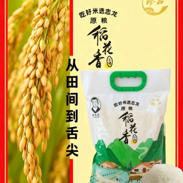2025稻花香二号新米预定中量大质优价格优惠欢迎采购