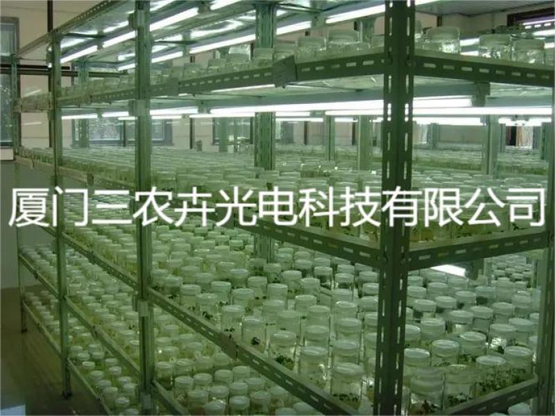 120cm-草莓育苗组培灯